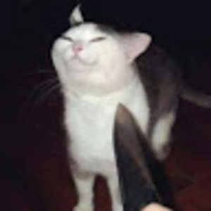 Meet your Posher, Cait